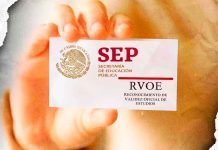 Ocho institutos universitarios en Tamaulipas se quedaron sin validación oficial