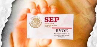 Ocho institutos universitarios en Tamaulipas se quedaron sin validación oficial