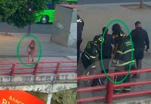 Mujer intenta lanzarse de un puente en CDMX; es rescatada por elementos de la Secretaría de Seguridad Ciudadana.