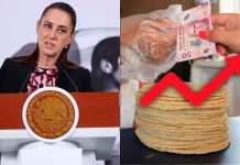 “No tienen razón para el aumento”: Sheinbaum rechaza alza al precio de la tortilla