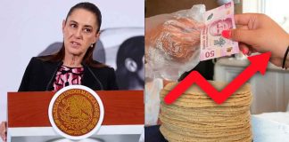 “No tienen razón para el aumento”: Sheinbaum rechaza alza al precio de la tortilla