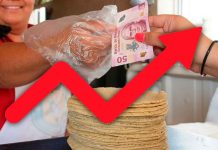 Kilo de tortilla subiría hasta 4 pesos por alza en harina y competencia desleal