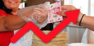 Kilo de tortilla subiría hasta 4 pesos por alza en harina y competencia desleal