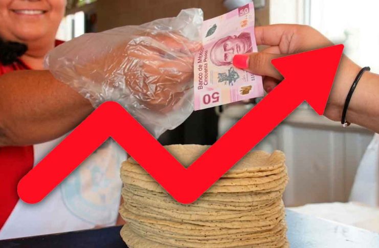 Kilo de tortilla subiría hasta 4 pesos por alza en harina y competencia desleal