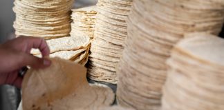 ¿Sube o no sube la tortilla? Gobierno lo niega, pero persisten dudas