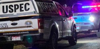 Hombre degollado y putrefacto es hallado dentro de domicilio en Michoacán