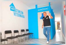 Barragán va por hospitales veterinarios gratuitos en Morelia