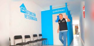 Barragán va por hospitales veterinarios gratuitos en Morelia