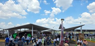 Charo quiere administrar el espacio ganadero del ex recinto Ferial