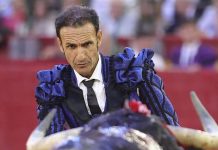 Lucha por su vida: el torero Alberto Álvarez Navarro sufre accidente al caer en una máquina trituradora en su ganadería