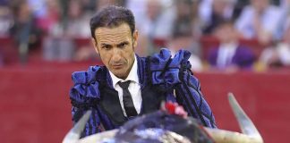 Lucha por su vida: el torero Alberto Álvarez Navarro sufre accidente al caer en una máquina trituradora en su ganadería