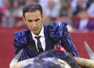 Lucha por su vida: el torero Alberto Álvarez Navarro sufre accidente al caer en una máquina trituradora en su ganadería
