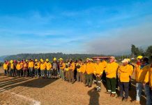 Con apoyo aéreo, 149 brigadistas combaten incendio forestal en Salvador Escalante: Cofom