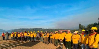 Con apoyo aéreo, 149 brigadistas combaten incendio forestal en Salvador Escalante: Cofom
