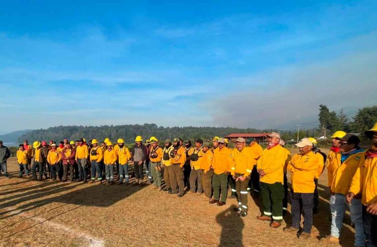 Con apoyo aéreo, 149 brigadistas combaten incendio forestal en Salvador Escalante: Cofom