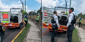 Policía Morelia detiene a dos personas por venta ilegal de cachorros en vía pública