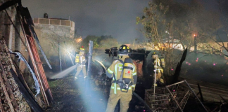 Alarma en Morelia por aumento de incendios: 550 casos en solo cinco meses
