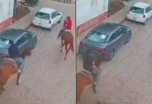 #VIDEO // Captan a dos sujetos a caballo destruyendo los cristales de un vehículo en Santa Rosa Jáuregui, Querétaro