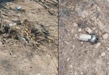 Mueren dos jornaleros tras explosión de presunta mina terrestre en Michoacán