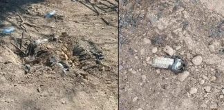Mueren dos jornaleros tras explosión de presunta mina terrestre en Michoacán