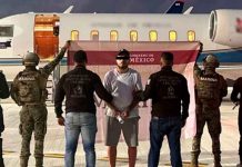 Cae en Cancún líder criminal internacional buscado por Canadá e Interpol