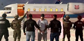 Cae en Cancún líder criminal internacional buscado por Canadá e Interpol