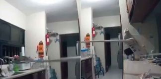 #VIDEO // Ladrón “pesca” celular por la ventana usando un palo con pegamento para ratones