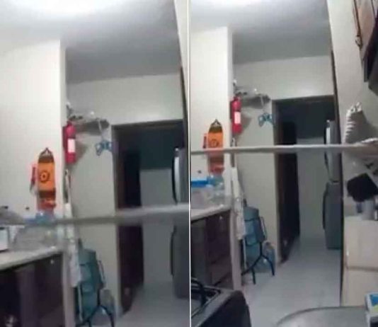 #VIDEO // Ladrón “pesca” celular por la ventana usando un palo con pegamento para ratones
