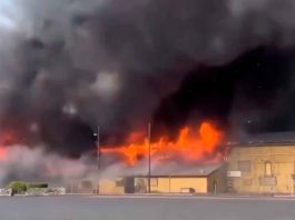 Fuerte explosión en fábrica de papel en Washington, deja varios muertos y lesionados por quemaduras