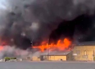 Fuerte explosión en fábrica de papel en Washington, deja varios muertos y lesionados por quemaduras