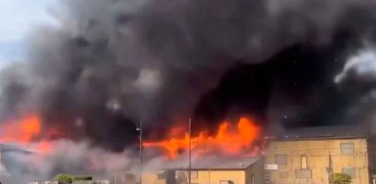 Fuerte explosión en fábrica de papel en Washington, deja varios muertos y lesionados por quemaduras