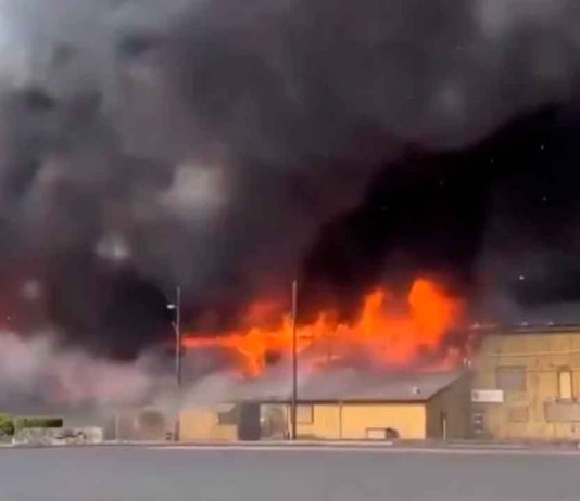 Fuerte explosión en fábrica de papel en Washington, deja varios muertos y lesionados por quemaduras