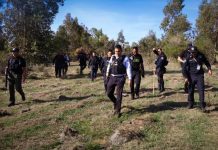 Operativo conjunto en comunidades rurales de Morelia permite recuperar vehículo con reporte de robo