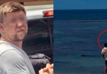 Investigan agresión a foca en peligro de extinción tras video viral en Hawái