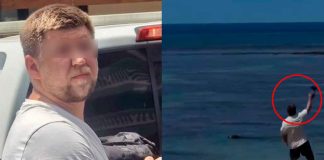 Investigan agresión a foca en peligro de extinción tras video viral en Hawái
