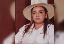 “No me meteré con la delincuencia organizada, pero no los dejaré hacer lo que quieran” Grecia Quiroz