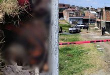 Hallan cadáver en avanzado estado de descomposición en pleno centro de Jacona