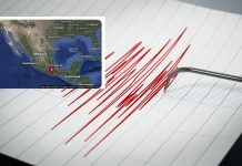 Sismo en Oaxaca no activó alerta en celulares; genera dudas en CDMX