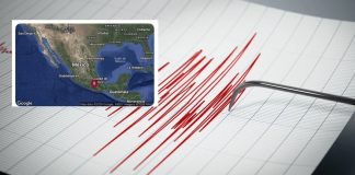 Sismo en Oaxaca no activó alerta en celulares; genera dudas en CDMX