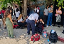 “Ni el examen sorpresa dolió tanto”: abejas atacan a 100 personas en telesecundaria de Morelos