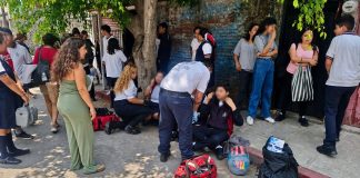 “Ni el examen sorpresa dolió tanto”: abejas atacan a 100 personas en telesecundaria de Morelos