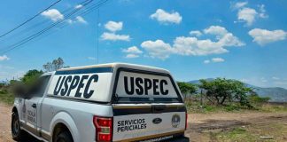 Hallan a mujer asesinada y maniatada en un paraje cerril de la Nueva Aldea, Morelia