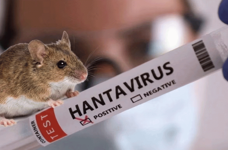 Francia descarta la idea de una mutación peligrosa de hantavirus en paciente infectada