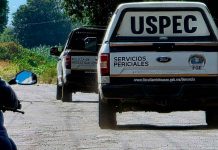 Localizan cadáver desmembrado y esposado en carretera