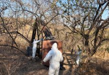 Desmantelan laboratorio clandestino en Los Reyes; aseguran reactores e insumos para droga sintética