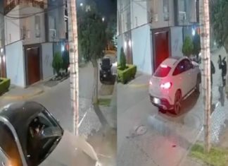 #video || Vigilante queda al borde de la muerte tras ser brutalmente atropellado en Trujillo; video capta el impacto