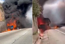 #VIDEO // Se incendia tráiler con ganado sobre el Arco Norte, cerca de los límites de Tlaxcala e Hidalgo