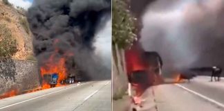 #VIDEO // Se incendia tráiler con ganado sobre el Arco Norte, cerca de los límites de Tlaxcala e Hidalgo