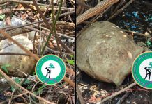 Localizan nueve cráneos en jornadas de búsqueda de desaparecidos en Jacona