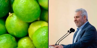 ¡Líder nacional! Michoacán supera el millón de toneladas de limón al año: Bedolla
